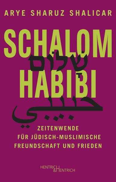 Cover Schalom Habibi, Arye Sharuz Shalicar, Jewish culture and contemporary history