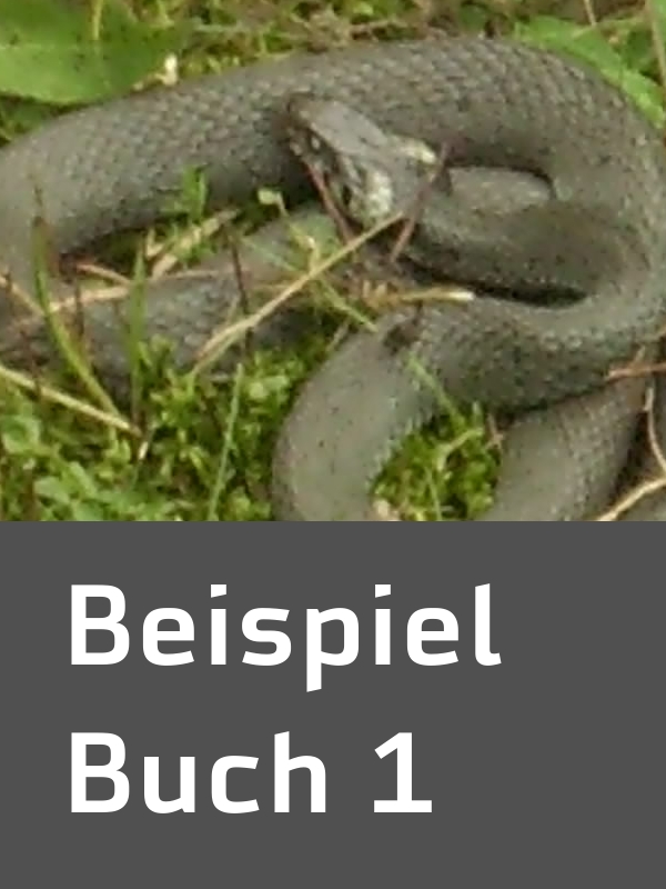 Cover of E-Testprodukt