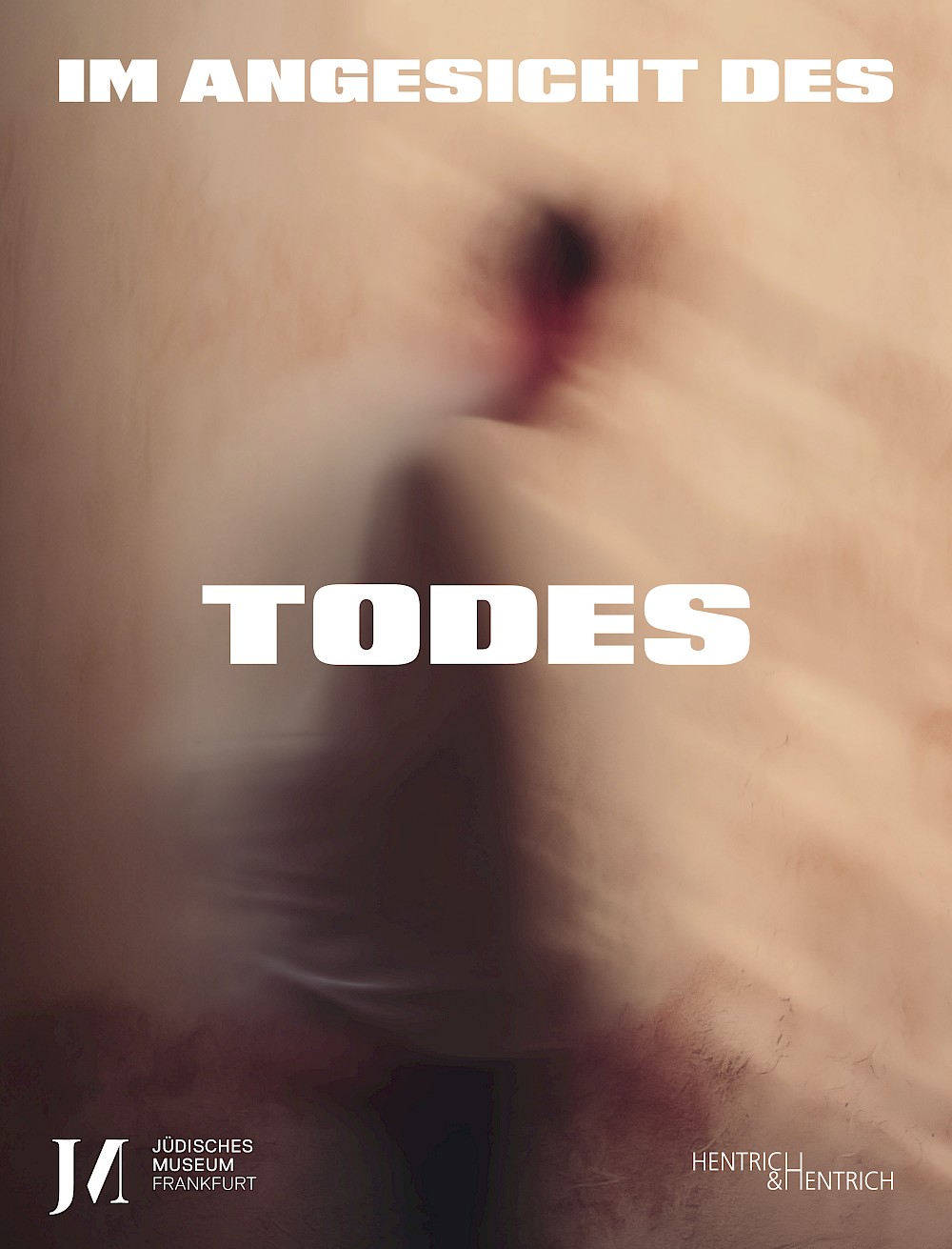 Cover von Im Angesicht des Todes